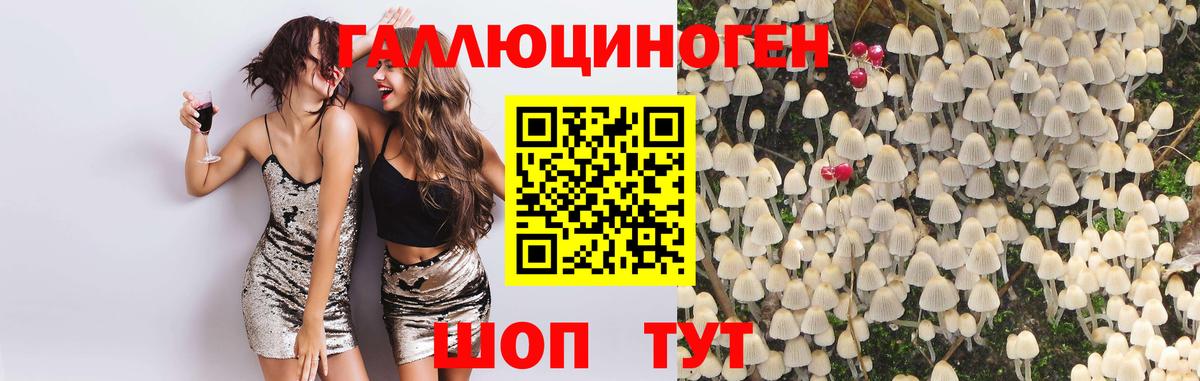 Южно-Сахалинск  Псилоцибиновые грибы Psilocybe  Псилоцибиновые грибы Psilocybe  Вход с VPN 